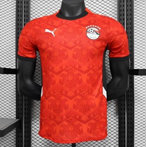 2024 نسخة اللاعب 2024 قميص منتخب مصر الرئيسي