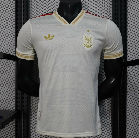 إصدار اللاعب 25/26 قميص فلامنجو الثالث 25/26